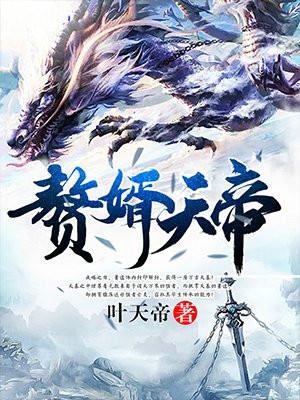 赘婿天帝笔趣阁无弹窗