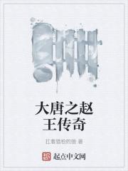 大唐之西府赵王 大唐之西府赵王