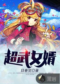 超武女婿共多少章