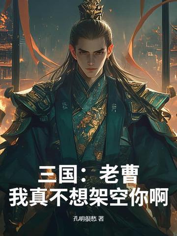 三国老曹 三国老曹