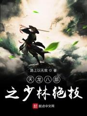 天龙八部少林武功